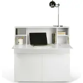 Temahome - Bureau/opbergkast Fox 110cm - wit