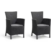 Keter Allibert Iowa Tuinstoel - 2 stuks - 62x60x89cm - Grafiet