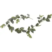 Maxifleur Kunstplanten Scindapsus Pictus Deluxe kunstslinger 180cm