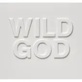 Cd Nick Cave & The Bad Seeds - Wild God