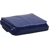 vidaXL Afdekzeil, blauw, 5x8 meter, 650 g/m²