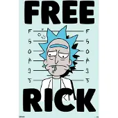 Grupo Erik Poster Rick and Morty - Free Rick 61x91,5cm