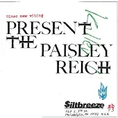Konkurrent Times New Viking - The Paisley Reich (CD)