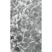 Dimex Fotobehang - Apple Tree Abstract III 150x250cm - Vliesbehang