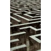 Dimex Fotobehang - Labyrinth 150x250cm - Vliesbehang