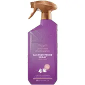 Bruynzeel Allesreinigerspray Fresh Wood 500 ml