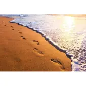 Dimex Fotobehang - Footsteps 375x250cm - Vliesbehang