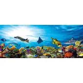 Dimex Fotobehang - Fish 375x150cm - Vliesbehang