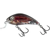 Salmo Rattlin' Hornet Shallow Floating Real Cockchafer 4,5 cm 3 g Wobbler
