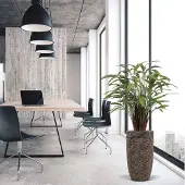 Maxifleur Kunstplanten Calathea kunstplant Deluxe 115cm groen
