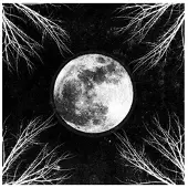 Cd Pale Moon