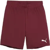 Puma Teamgoal Shorts Rood 9-10 Years Jongen