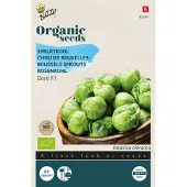Buzzy Organic Spruitkool Doric F1 (BIO)