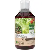 Pokon Kuur Voor Weerbare En Gezonde Planten Concentraat 500 Ml