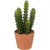 Atmosphera Kunstplant Alicante - Cactus met pot - Ø12xH30cm - Groen