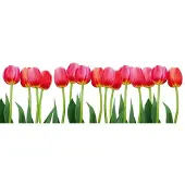 Dimex Fotobehang - Bed of Tulips 375x150cm - Vliesbehang