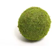 HBX natural living Bal Mos Asia Ø20cm Groen Groen Mos Kerststukje