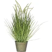 Dulaire Kunst Siergras in Pot Groot 81 cm