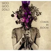 Warner Music Chaos in Bloom