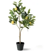 Dulaire Kunst Citroenboom In Pot 73 cm