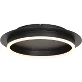 Steinhauer Plafondlamp Ringlux 32cm zwart
