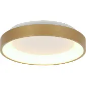 Steinhauer Plafondlamp Ringlede 3691GO Goud – Dimbare LED plafonnière Ø38 cm met uplight