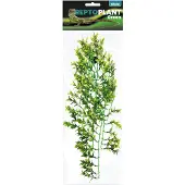 Aquadistri Repto plant green/yellow 70 cm Repto