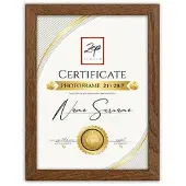 Zep V4721N Certificate Brown 21x29,7 cm