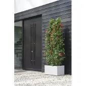 Elho Vivo Next Lang 80 - Plantenbak voor Binnen & Buiten Rechthoekig - 100% Gerecycled Plastic - L 78.0 x H 37.9 cm - Wit
