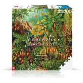Good Loot Ernst Haeckel - Muscinae Puzzel - Puzzel 1000 stukjes volwassenen - Natuur Thema
