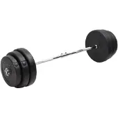 vidaXL Halter gebogen met gewichten 90 kg