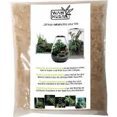 Wabi Kusa Yellow Gravel 2-4 Mm 1 Kg