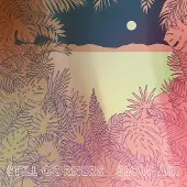 Konkurrent Still Corners - Slow Air (LP)