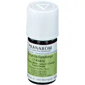 Pranarôm Etherische Olie Zonneroosje 5 ml Etherische olie