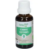 Herbalgem Lijsterbes Bio 30 ml