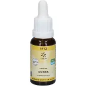 Lemon Pharma Bach Bloesems Original Nr. 13 Gorse | 20 ml
