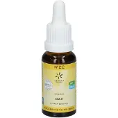 Hager Pharma GmbH Bach bloesemremedies oak 20 ml
