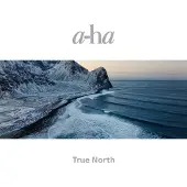 Aha - True North (Gatefold) (Booklet) (Metallic Embossing) (180 g) (2 LP)