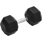 vidaXL Korte halter van 20 kg, gietijzer