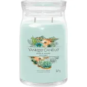 Yankee candle aloe & agave signature large jar |