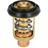 Sierra Johnson/evinrude Thermostat Goud