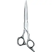 E-Kwip + Future 55 Knipschaar