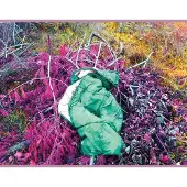 Cargo Dreamdecay - N V N V N V (LP)