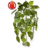 Maxifleur Kunstplanten Cissus kunst hangplant deluxe 80cm - FR - brandvertragend