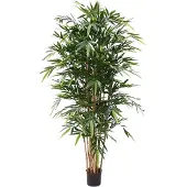Maxifleur Bamboe Deluxe 180 cm FR