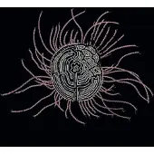 Konkurrent Ka Baird - Bearings: Soundtrack For The Bardos (LP)