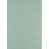 Florence Cardstock Linnenkarton - Iguana (Groen) - Gekleurd Papier - A4 - 100 vellen - Textuur - 250 g