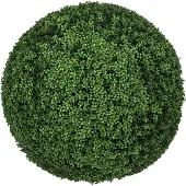 Pottery Pots - Kunstplant - Boxwood Round L - Ø90cm x H90cm - Indoor - Green
