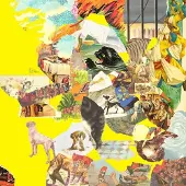 Konkurrent Homesick - The Big Exercise (LP)