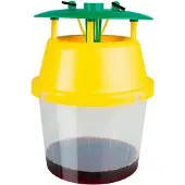 Masso 231609 Velutine Wasp Trap Transparant